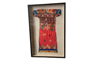 VESTIDO DE LA INDIA ENMARCADO