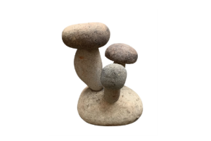 ESCULTURA FUNGI PIEDRA RÍO
